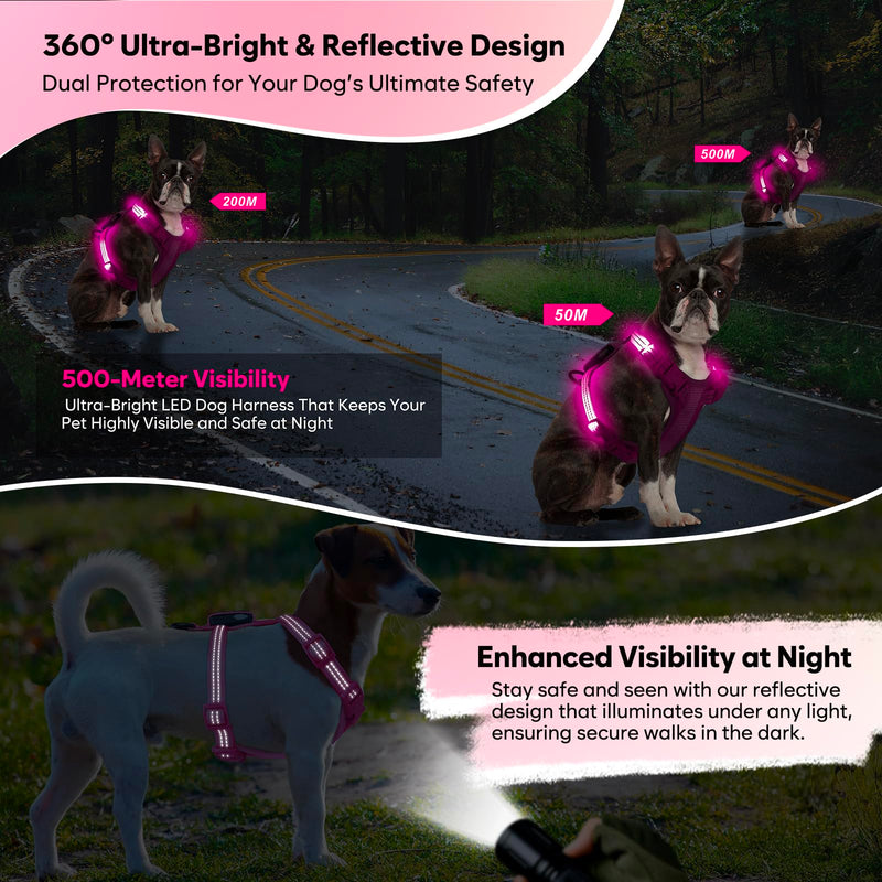 Light Up Small Dog Harness, LED Rechargeable Harness for Small Sized Dog, No Pull Reflective Adjustable Dog Vest Harness with Soft Light, Glow-in-The-Dark for Night Safety Walking (Pink) Pink - PawsPlanet Australia