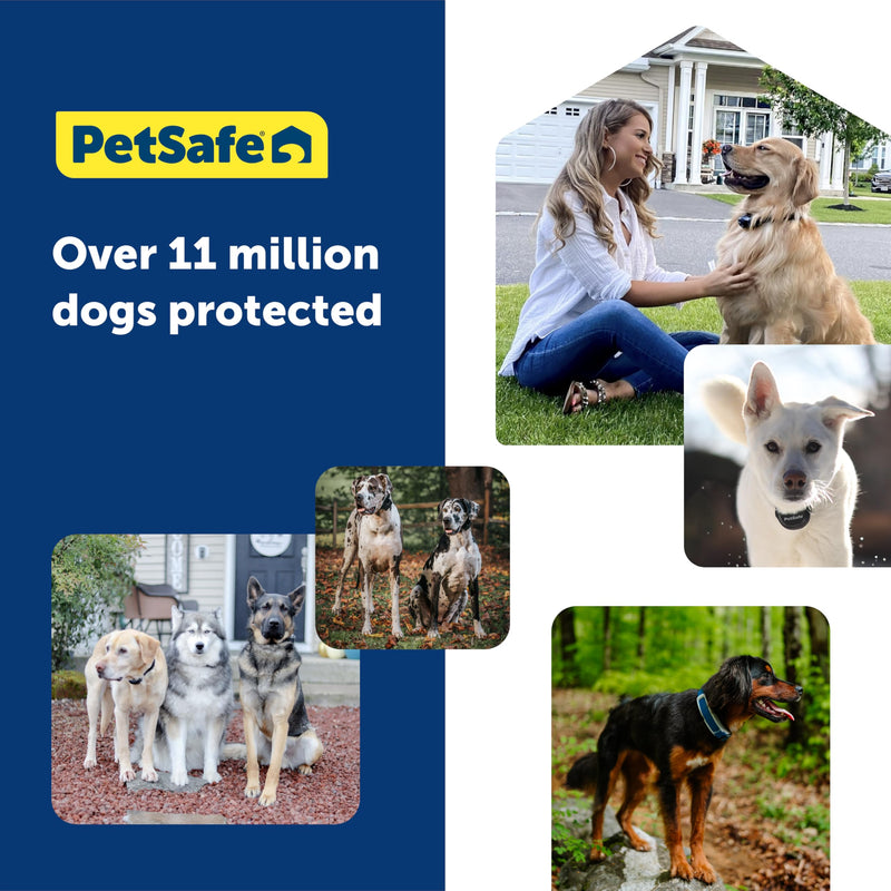 PetSafe Replacement Strap for Guardian GPS 2.0 Dog Fence + Tracking Collar, Made with Soft-Touch Nylon for Enhanced Comfort and Long-Lasting Wear - Water-Wicking, Waterproof Material, Blue - PawsPlanet Australia