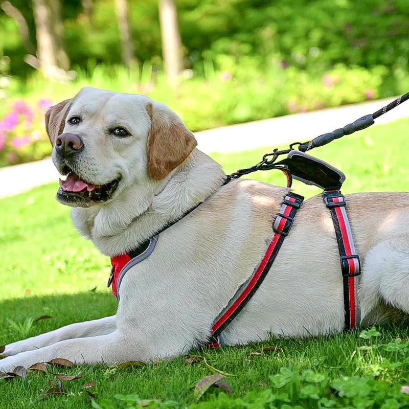 Mihachi Escape Proof Dog Harness - No Pull Dog Harness with Handle, Soft Padded Reflective and Adjustable Full Body Pet Harness Vest for Medium Large Dogs Walking Hiking Training, Red Large - PawsPlanet Australia