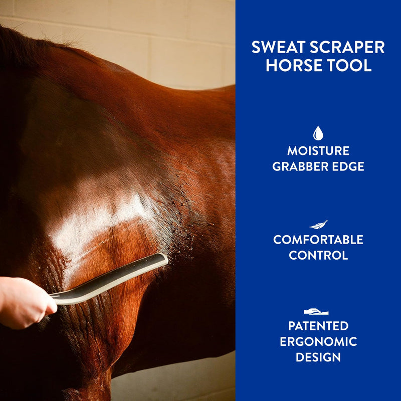 WAHL Professional Animal Equine Grooming Sweat Scraper Horse Tool - Black Sweat Scraper Tool