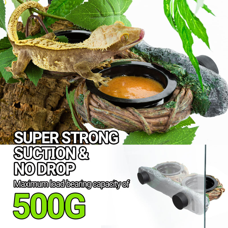 REPTI ZOO Magnetic Reptile Feeding Ledge, Gecko Feeder Ledge with 4PCS Cups, Hollow Vine Food Dish, Reptile Water Bowl for Bearded Dragon Lizard Snake, Reptile Terrarium Tank Accessories Dual Feeder - PawsPlanet Australia
