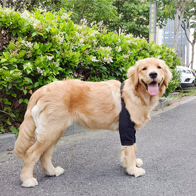 HDKUW Dog Elbow Protector, Dog Front Leg Recovery Sleeve for Prevent Licking Wound, Elbow Sleeves with Mesh Pad for Medium Large Dogs Black 2XL - PawsPlanet Australia