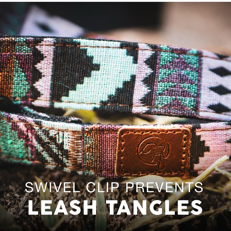 Embark Adventure Dog Leashes - Colorful, Strong and Sturdy Dog Leash for Small, Medium and Large Breed Dogs (Aztec, 4 Ft) - PawsPlanet Australia