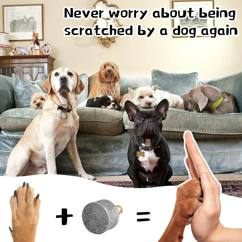5Pcs Dog Nail Grinder Diamond Tip Replacement Heads Replaceable Paws Dog Claw Grinder Bits Pet Paws Grooming Accessories - PawsPlanet Australia