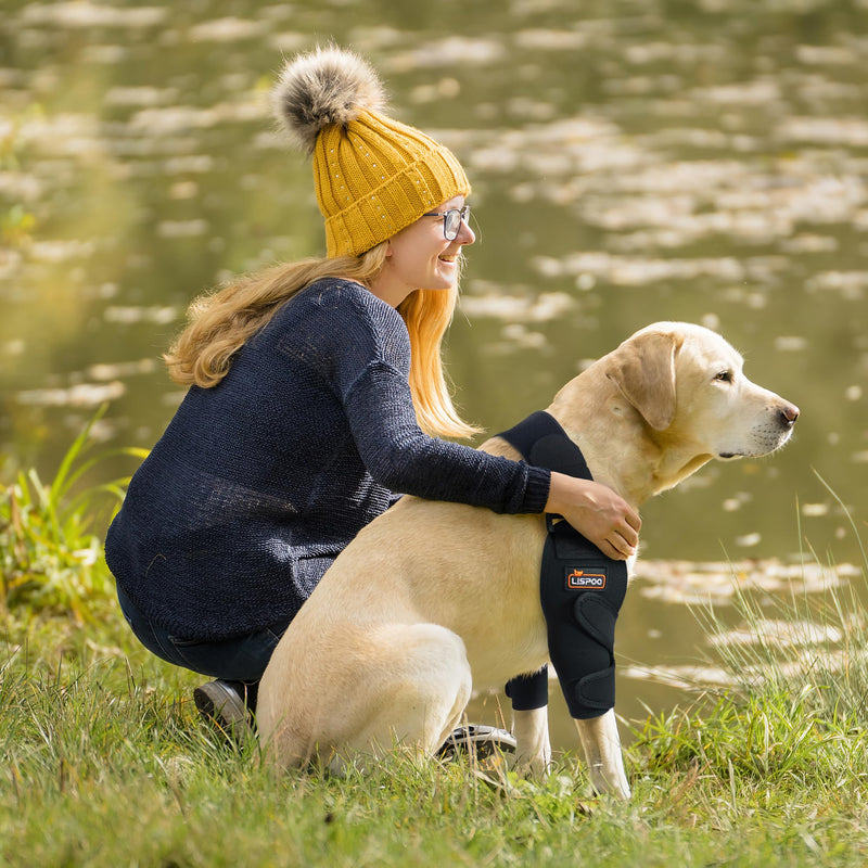 LISPOO Dog Elbow Brace Protector Pads Provides Elbow Support and Protection, Dog Elbow Dysplasia Brace for Elbow Hygroma, Arthritis, Dysplasia, Elbow Calluses, Shoulder Dislocation, Elbow Brace(XL) Both Leg XL - PawsPlanet Australia