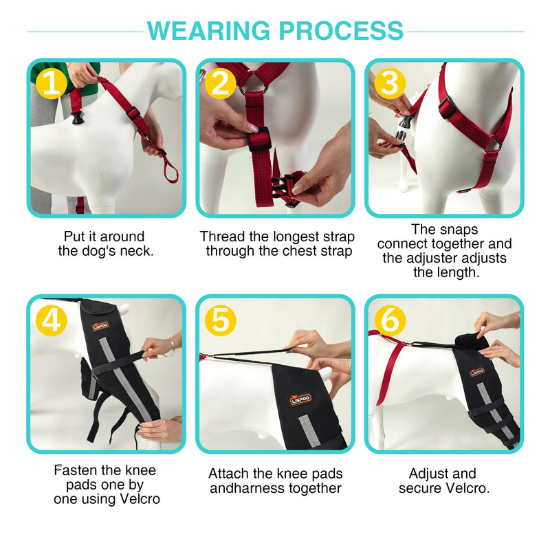 Dog Anti-Licking Leg Sleeve,Rear Leg Protector to Stop Licking,Wound Protection Sleeve for Post-Surgery Recovery,Right Leg Right Leg XL - PawsPlanet Australia