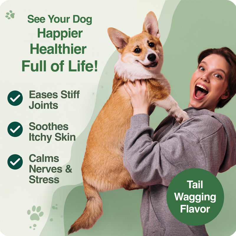 BAZI Hip & Joint Dog Chews – Glucosamine, Chondroitin, MSM, Turmeric & Collagen for Joint Health & Mobility – High-Potency Supplement for Dogs of All Breeds & Sizes – Active Lifestyle Support - PawsPlanet Australia