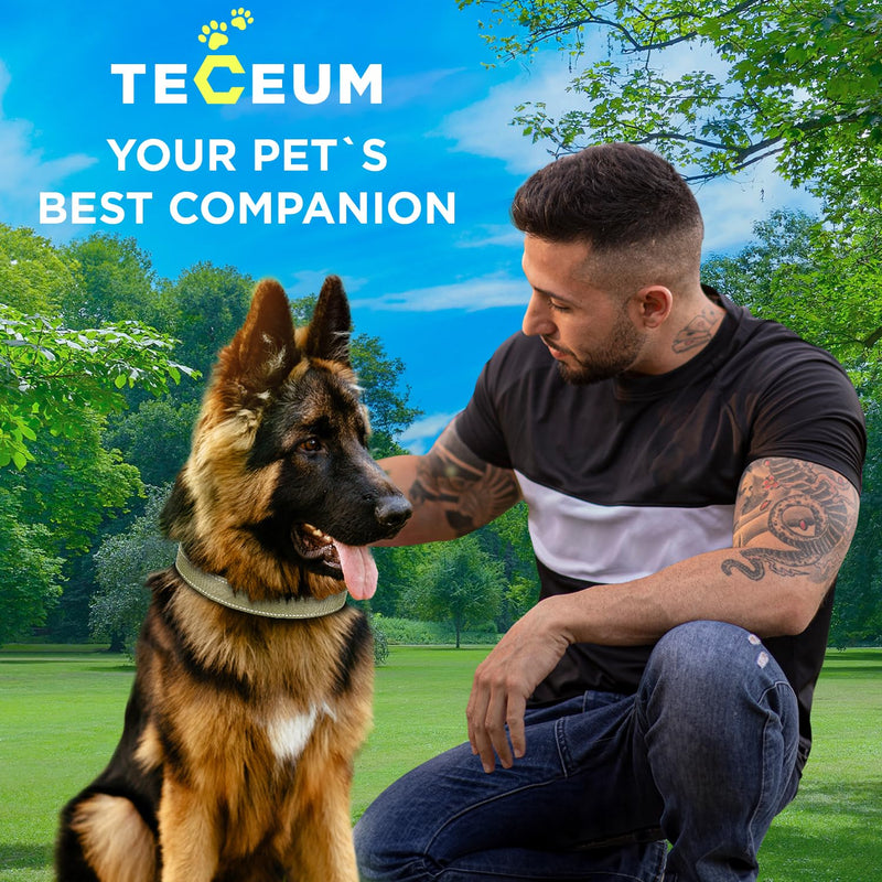 TECEUM Reflective Dog Collar – Olive – XXS – Basic Nylon Pet Collar – Quick Release Buckle – Fits Small, Medium and Large Dogs, Puppies, Cats – ESA & Service Dog Options
