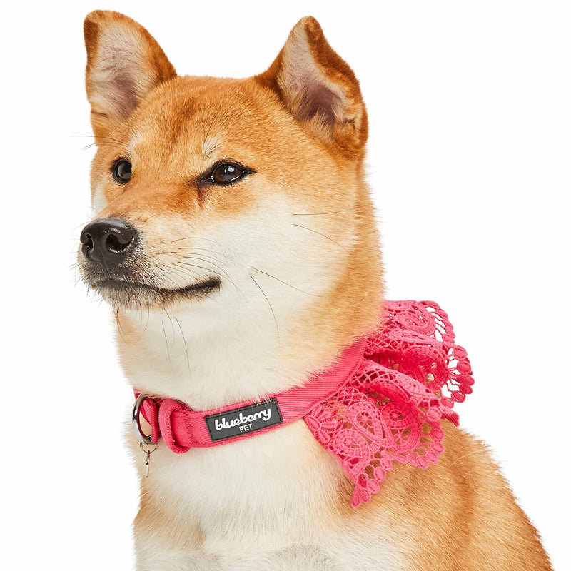 Blueberry Pet Floral Lace Adjustable Dog Collar in French Pink with Metal Buckle, Neck 13-16.5", for Medium Breed - PawsPlanet Australia