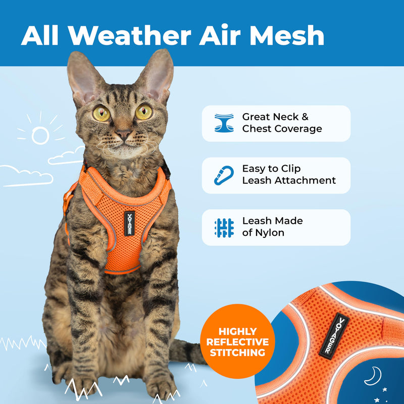 Voyager Escape Proof Cat Harness and Leash Set with Reflective Stitching, Neoprene Handle 5ft - Supports Small, Medium and Large Cats, Kittens for Walking by Best Pet Supplies - Orange, XXS Orange (327) XXS (Chest: 11.5 - 14") - PawsPlanet Australia