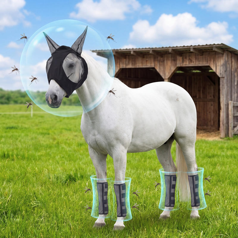 Hsei Mule Horse Fly Mask Set with Fly Boots with Ears Breathable Pony Equine Mask Horses Accessories Large for Pony Miniature Foal Draft Cob Srabian Donkey Farm Pet