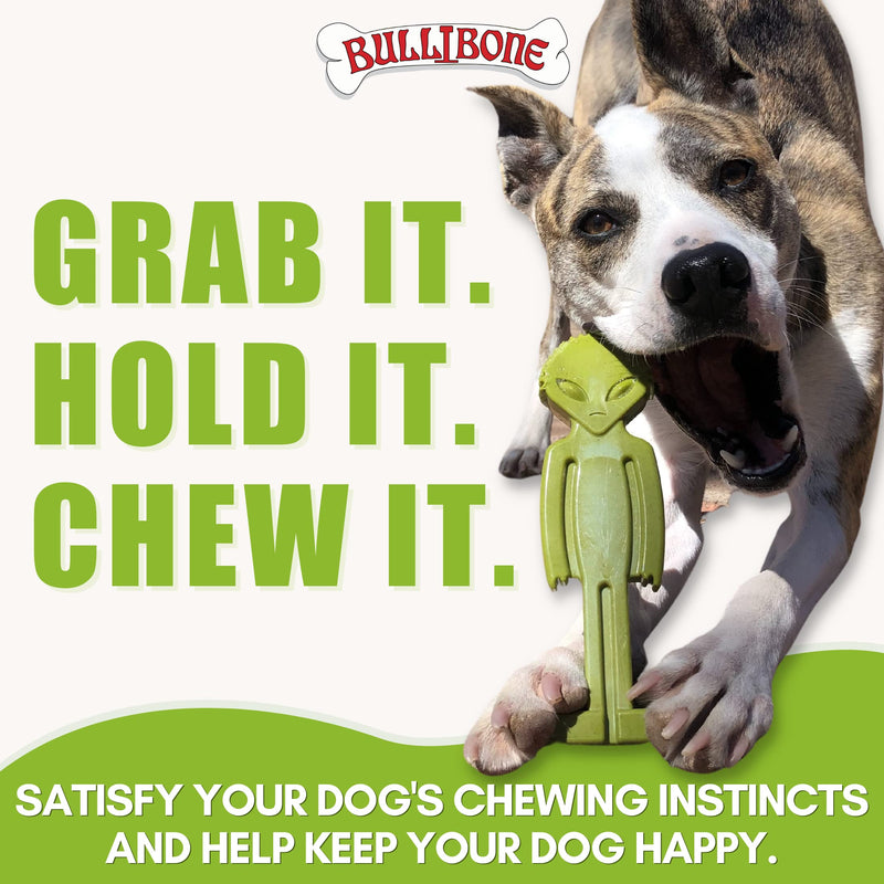 Bullibone Alien Bone: Chew Toy for Aggressive Chewers and Small Dogs (3 Pack) Small 3-Pack