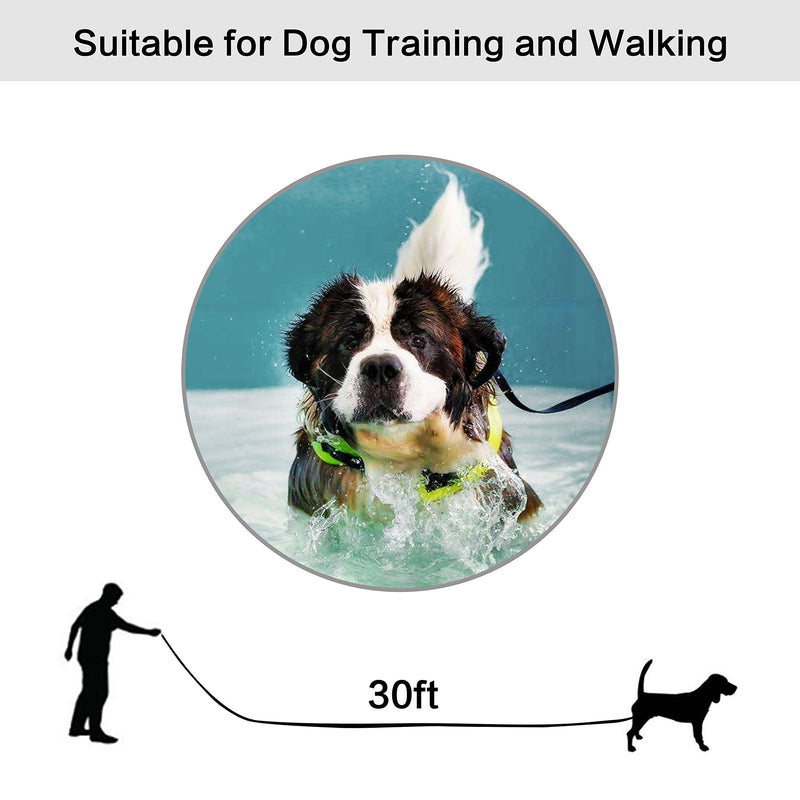Jeckpat Long Dog Leash Free Range 30 Foot 1Inch Wide Nylon Training Lead Pet Puppy Handles, for Yards 30ft with Stake Medium and Large Dog (Black) - PawsPlanet Australia