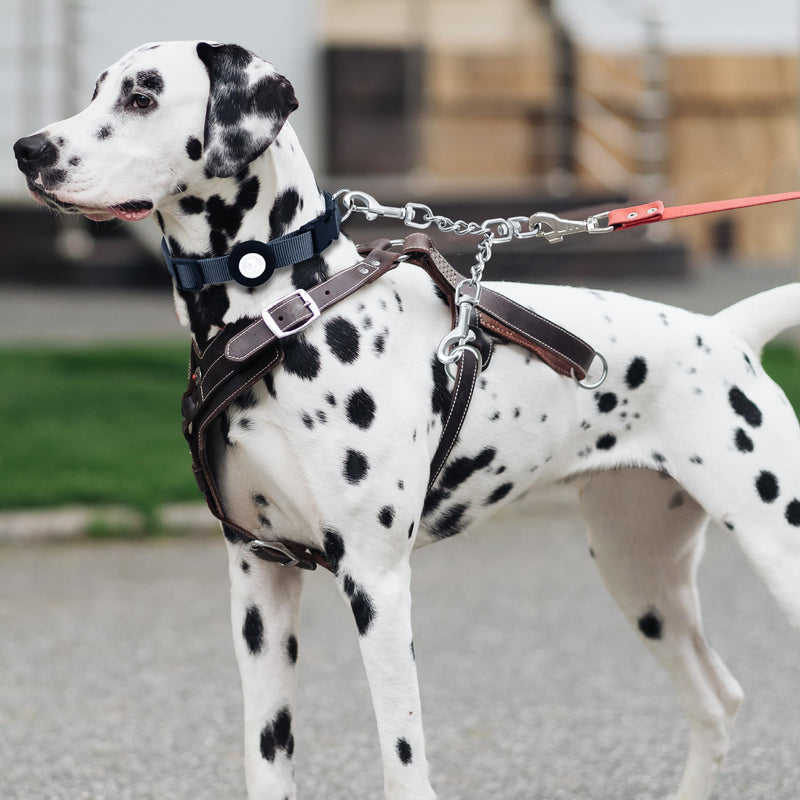 Prong Collar Safety Clip Stainless Steel Dog Safety Clip, Leash Backup with Dual Clasps, Collars and No Pull Harness Connectors - PawsPlanet Australia