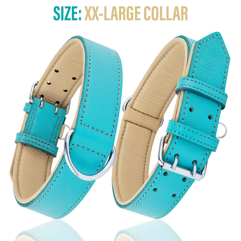 Riparo Genuine Leather Padded Dog Heavy Duty K-9 Adjustable Collar XL Aqua - PawsPlanet Australia