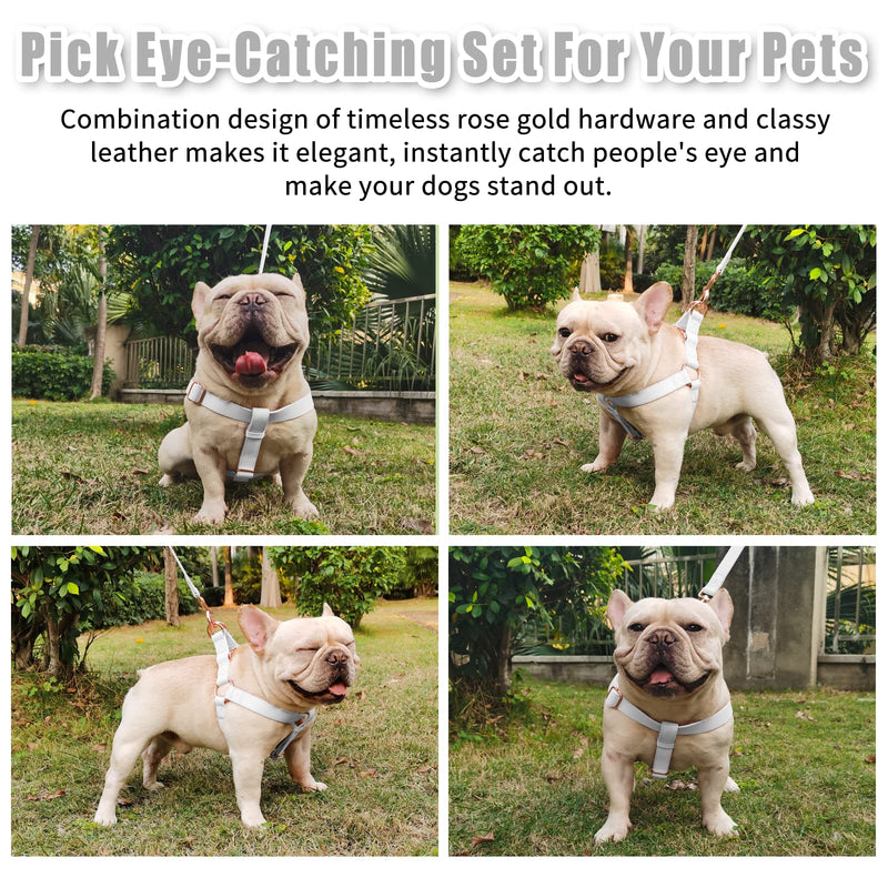 Soft Leather No Pull Dog Harness - Adjustable Step in Dog Harness with Rose Gold Heavy Duty Metal Buckle, Freedom Nylon Dog Halter Vests for Small Medium Large Dogs Easy Walking Training (White,M) White M (Neck&Chest Girth 20"-26"x Width 1") - PawsPlanet Australia