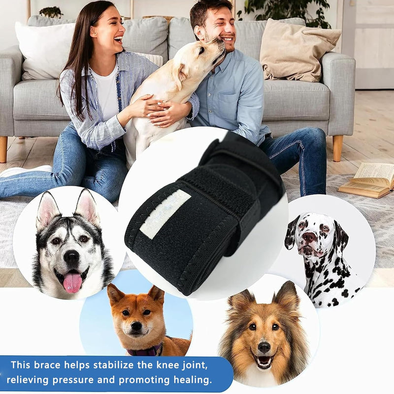 Dog Knee Brace - Knee Cap Dislocation for ACL, CCL, Cruciate Ligament Injury, Joint Pain and Muscle Sore, Adjustable Dog Rear Legs Bracer with Metal Side Stabilizers (Black, Medium-Right) - PawsPlanet Australia