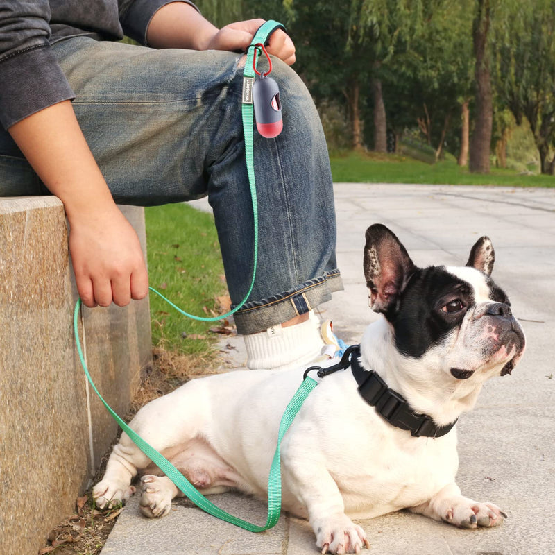 VIVAGLORY Dog Leash Dailyx Pet Leash with Soft Padded Handle for Training & Walking, Heavy Duty & Double Layer Nylon for Pet Puppy, 5ft x 1/2in, Green Leash (5 ft. x 1/2 in.)