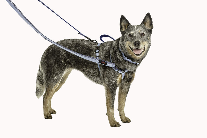 HALTI Double-Ended Leash for Dogs - Neoprene-Padded, Easy to Use, Reflective, Adjustable Lengths, Ideal Dog Leash for Hands Free Running & Training. Suitable for Small Dogs and Puppies (Size S, Black) - PawsPlanet Australia