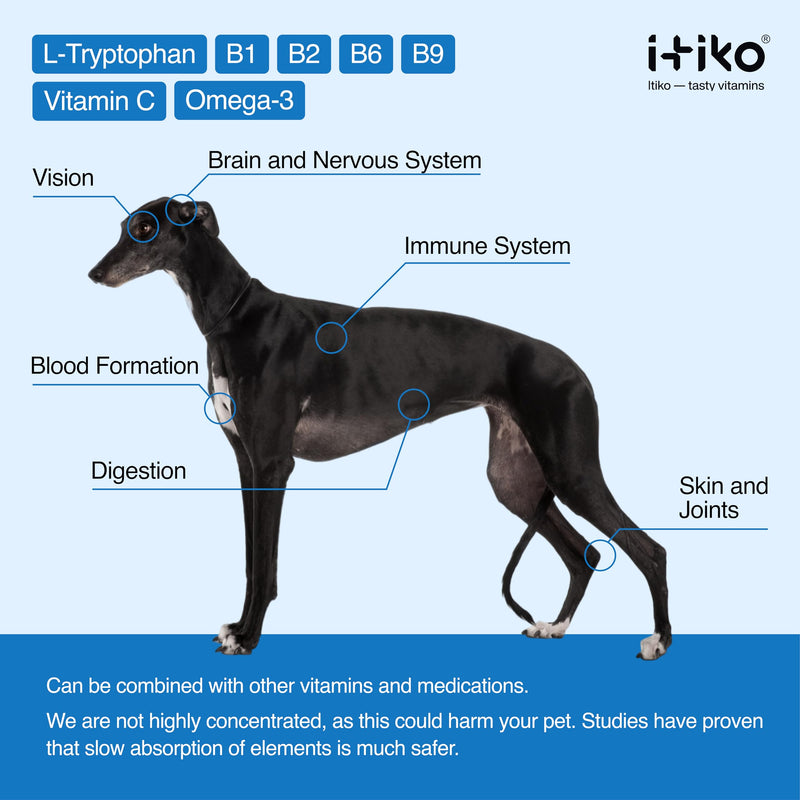 Vitamins for Dogs | Tasty Calming Supplement for Dogs | Tranquilizer for Dog | Supports Nervous System, Reduces Barking, L-Tryptophan