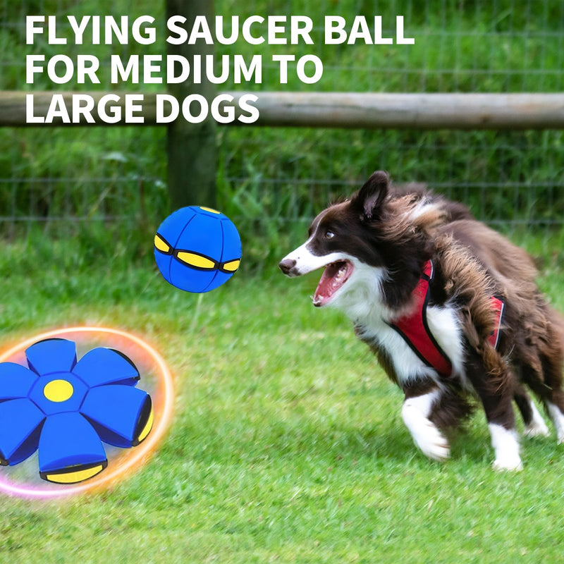 2PCS Dog Flying Disc Toy, Pet Toy Flying Saucer Ball with 3 Light for Dogs, Flying Saucer Ball Dog Toy Outdoor Toy Doggy Disc Ball, Outdoor Games - PawsPlanet Australia