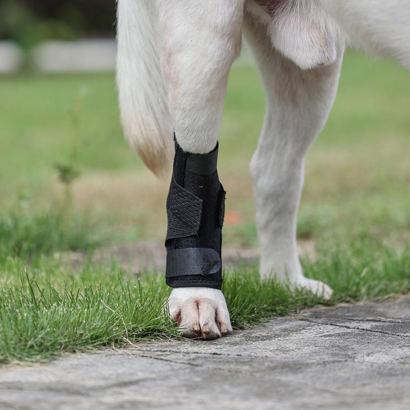 (S/M) Dog Canine Front Leg Brace Wrap, Pair of Dog Leg Compression Sleeve Brace Wrap with Metal Strips Protects Wounds Brace Heals and Prevents Injuries & Sprains Helps Arthritis - PawsPlanet Australia
