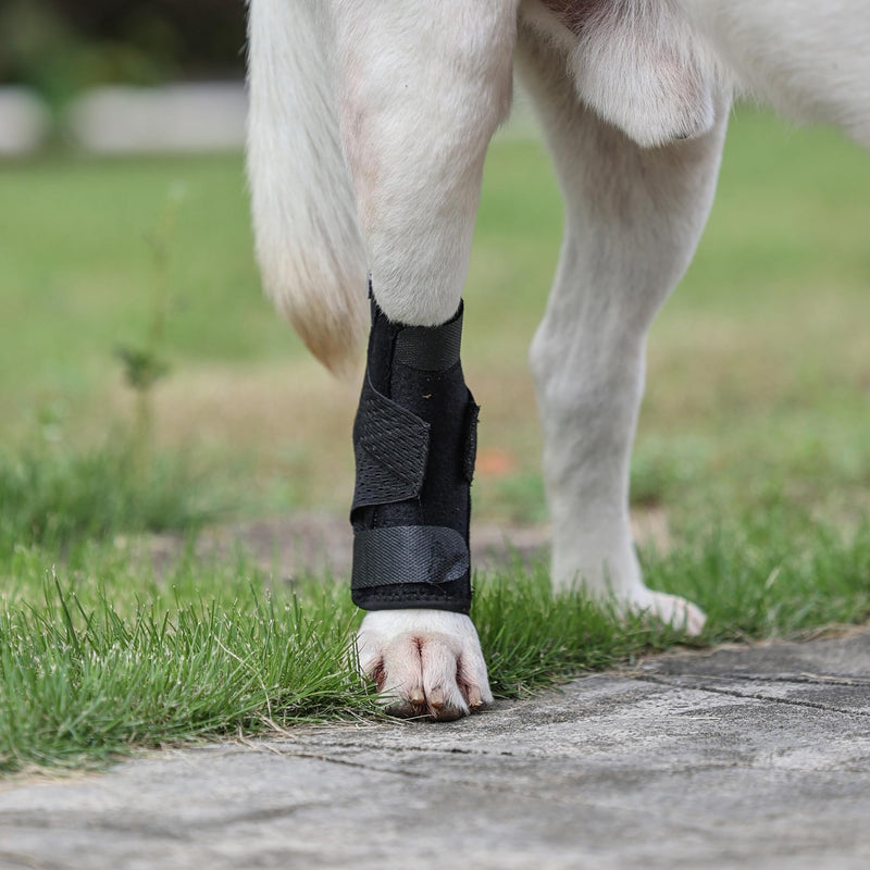 Dog Leg Braces for Rear Leg, Dog Hock Joint Brace with Two Metal Spring Inserts, Dog Hock Splint with Fractures, Wound Healing, Sprains and Canine Arthritis_L/XL L/XL