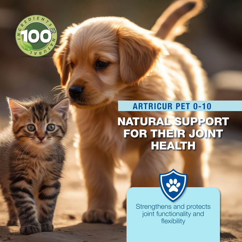 Artricur Pet Joint Supplement for Dogs and Cats 0-1 Kg - 100% Natural Joint Health Supplement with Organic Aloe Arborescens, Spirulina, Boswellia, Devil's Claw, 60 Capsules - PawsPlanet Australia