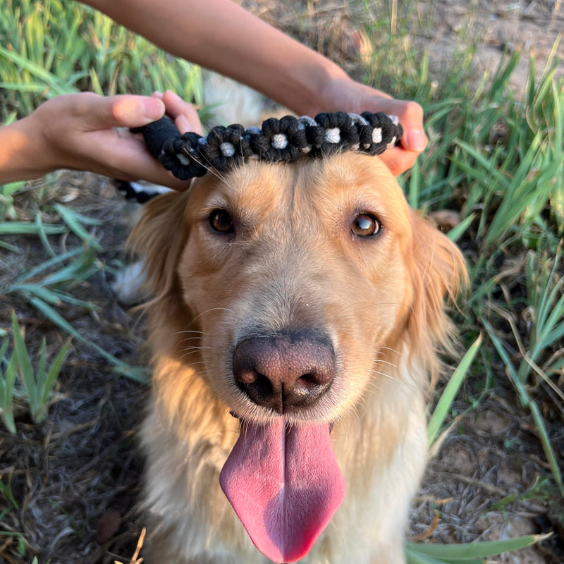Handmade 5ft Braided Cotton Dog Leash with Unique Floral Handle, Durable and Stylish, Ideal for Small to Large Dogs, Black - PawsPlanet Australia