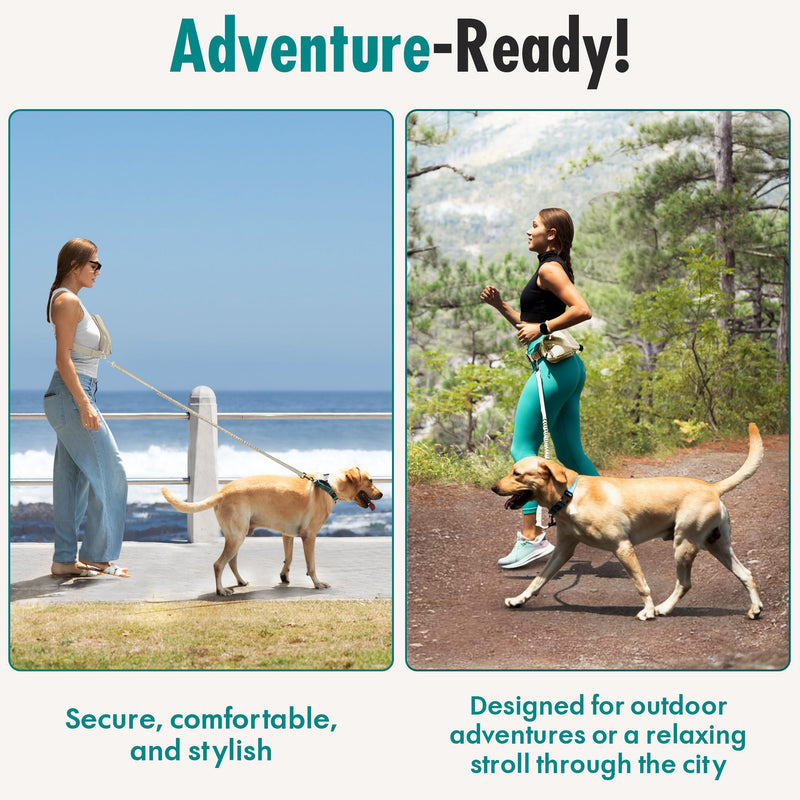 Hands Free Dog Leash with Dog Treat Pouch - Stylish & Trendy Waist Leash for Dog Walking - Wear Around The Waist or Crossbody - Durable & Detachable - Shock Absorbing - Waste Bag Dispenser Ivory - PawsPlanet Australia