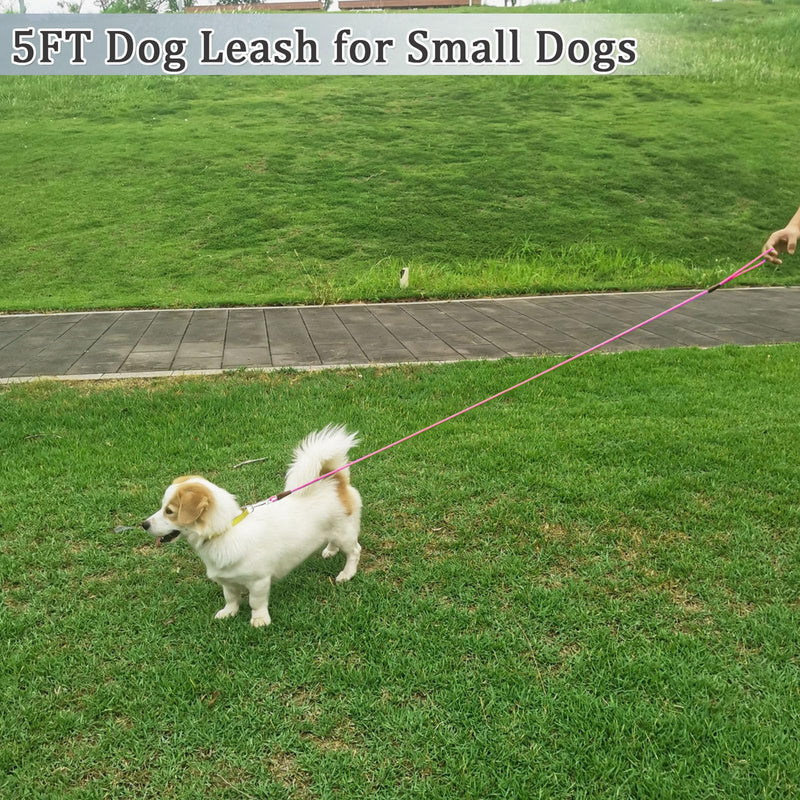 WYuZe 5ft Puppy/Dog Leash for Small Dogs, 1/4" Thin Rope Leash with Easy to Use Hook, Lightweight Cat Leashes for Chihuahua/Yorkie/Tiny Breed, 10 Colors, Black Pink 5 FT (3~18 lbs) - PawsPlanet Australia
