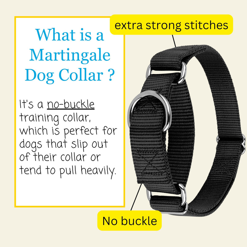 Country Brook Petz - Martingale Dog Collar - Heavy-Duty Training Collar with No Buckle - Service Dog Collar for All Pups - 10+ Cool Colors (Black, 1 Inch, Medium) Medium (Pack of 1) Black