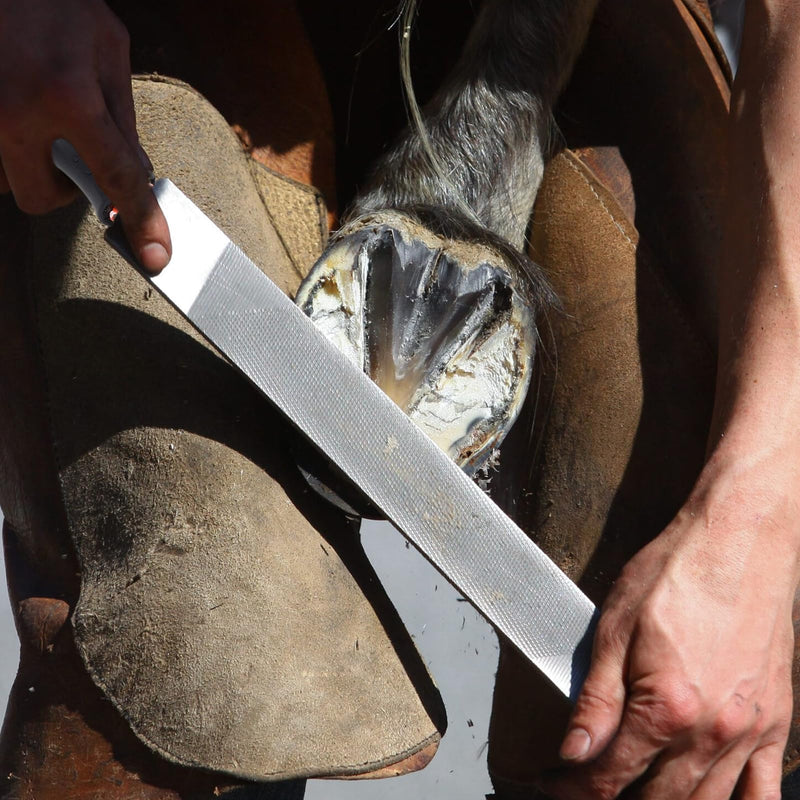 Yosoo Health Gear Horseshoe Trimming Tool 8 Inch Hoof Rasp, Solid Carbon Steel Horseshoe File with Rubber Handle, Double Sided Hoof Rasp Farrier File Tool for Horse Goat Cow Donkey