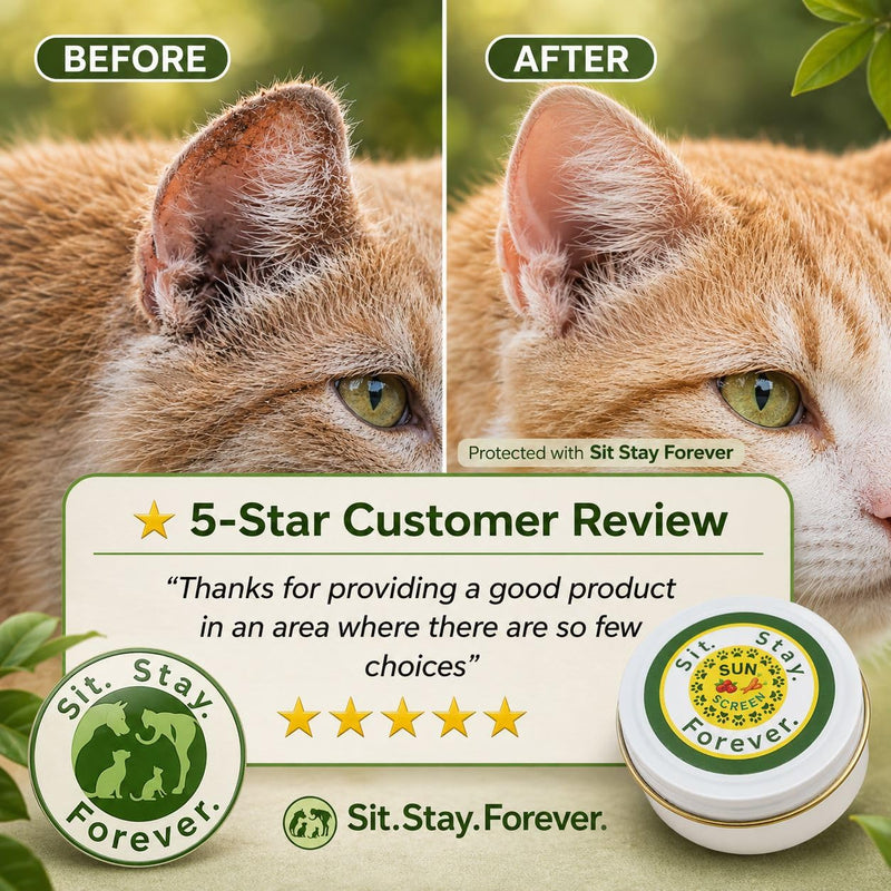 Sit Stay Forever Organic Sunscreen for Dogs and Cats, Dog Sunscreen, Dog Beach Essentials, Pet Sunscreen Cream for Dogs, Zinc Free, Dog Sun Protection, Dog Sunblock, Cat Sunscreen Made in USA, 2 oz