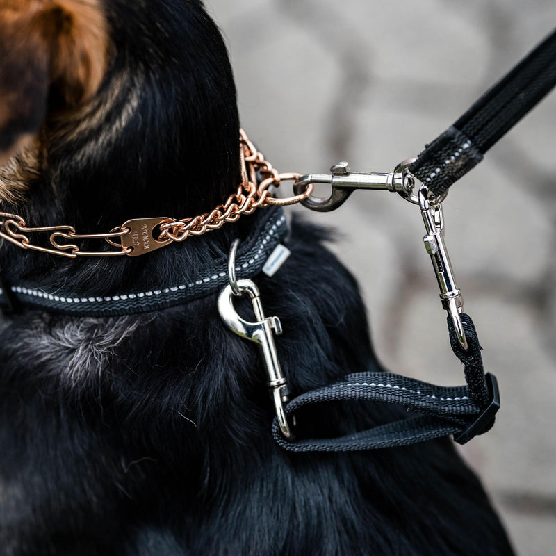 Herm. Sprenger Prong Collar Safety Clip with Reflective Stripes 6"-8" - Pack of 1 Dog Leash Safety Strap - Enhanced Durability for Secure Leash Connection - Ideal for Safe Walk and Training (Black) Black - PawsPlanet Australia