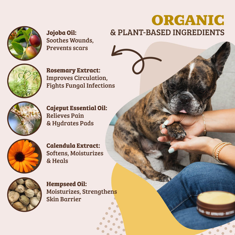 Natural Dog Company - Paw Soother | Dry, Cracked, Irritated Dog Paw Pads, Organic, All-Natural Ingredients, Easy to Apply 2oz/59ml Tin 1 count (Pack of 1) - PawsPlanet Australia