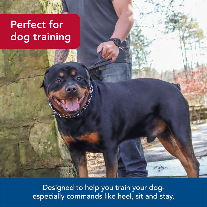Coastal Pet Titan Dog Prong Training Collar - Rust-Resistant and Prong Metal Training Chain Collar for Dogs - Quality Supplies - 3.3 mm x 20" 3.3 mm x 20" (Pack of 1) - PawsPlanet Australia