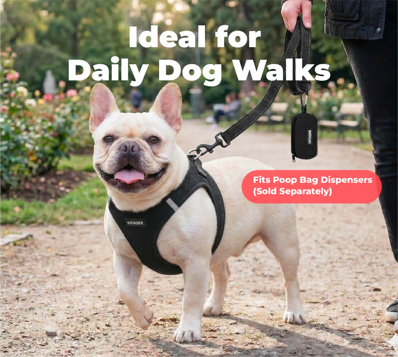 Voyager Reflective Dog Leash with Neoprene Handle, 6ft Long, Supports Small, Medium, and Large Breed Puppies, Cute and Heavy Duty for Walking, Running, and Training - Black, L Leash (Black) 1" x 6ft - PawsPlanet Australia