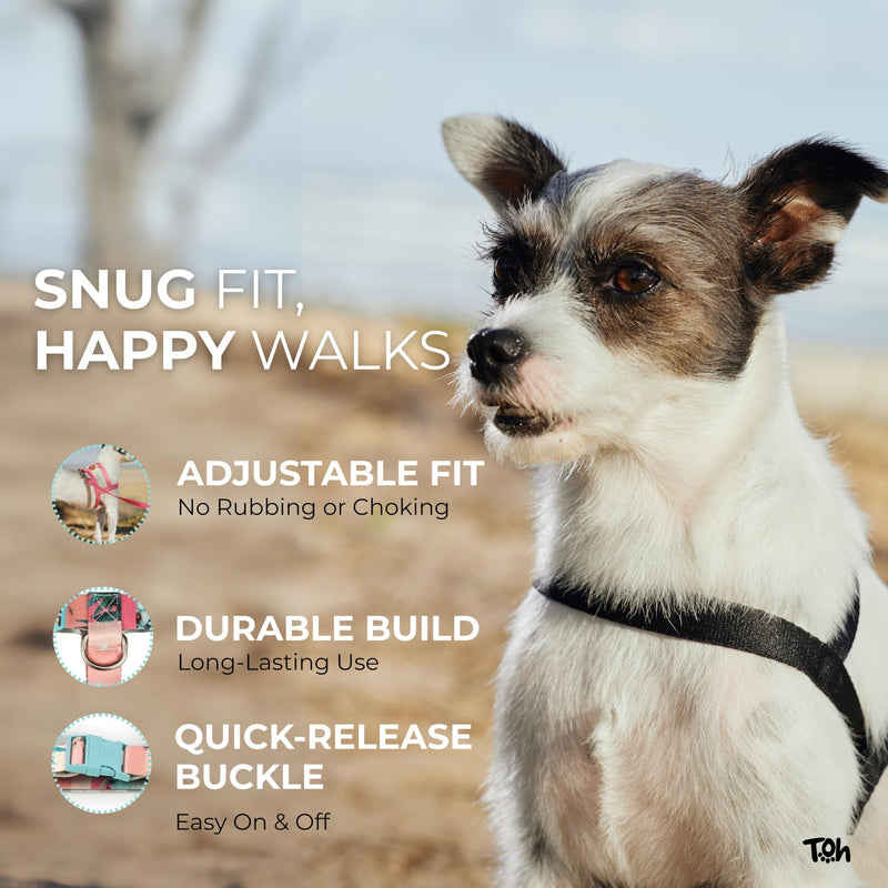 Dog Harness and Leash Set, Stylish Design Pet Harness Set with Adjustable Straps, Easy to Use and Comfortable Cat Harness and Leash, Perfect for Pets Training Outdoor Walking (Laguna, XSmall) Laguna - PawsPlanet Australia