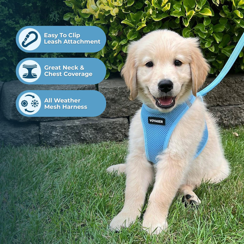 Voyager Step-in Air All Weather Mesh Harness and Reflective Dog 5 ft Leash Combo with Neoprene Handle, for Small, Medium and Large Breed Puppies by Best Pet Supplies - Set (Baby Blue), XS Harness Leash Set (Baby Blue) XS (Chest: 13 - 14.5") - PawsPlanet Australia