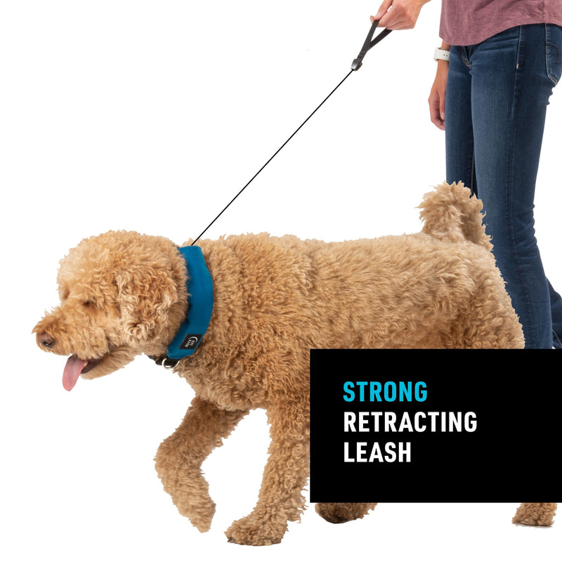 Nite Ize Raddog All-in-One Collar and Leash Combo - Heavy-Duty Dog Collar with Built-in Retractable Leash - 14" to 16" Collar - Blue, Small - PawsPlanet Australia