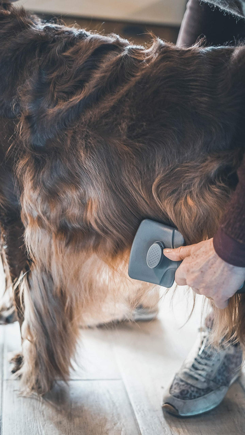 Vetocanis Retractable and Self-Cleaning Grooming Brush for Dogs, 0.2 kg