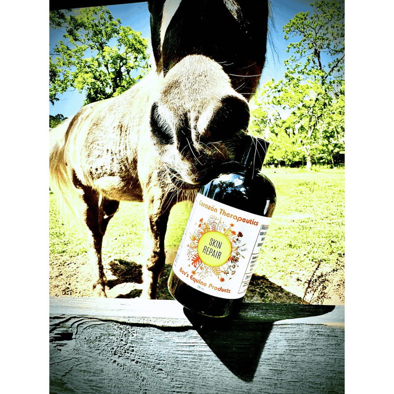 Skin Repair Gel for Horses & Pets – Fast-Acting Wound Care with Calendula, Sulfur & Tea Tree – Heals Rain Rot, Cracked Heels, Insect Bites, Thrush & Skin Irritation – Natural Formula (18 oz) 18 oz