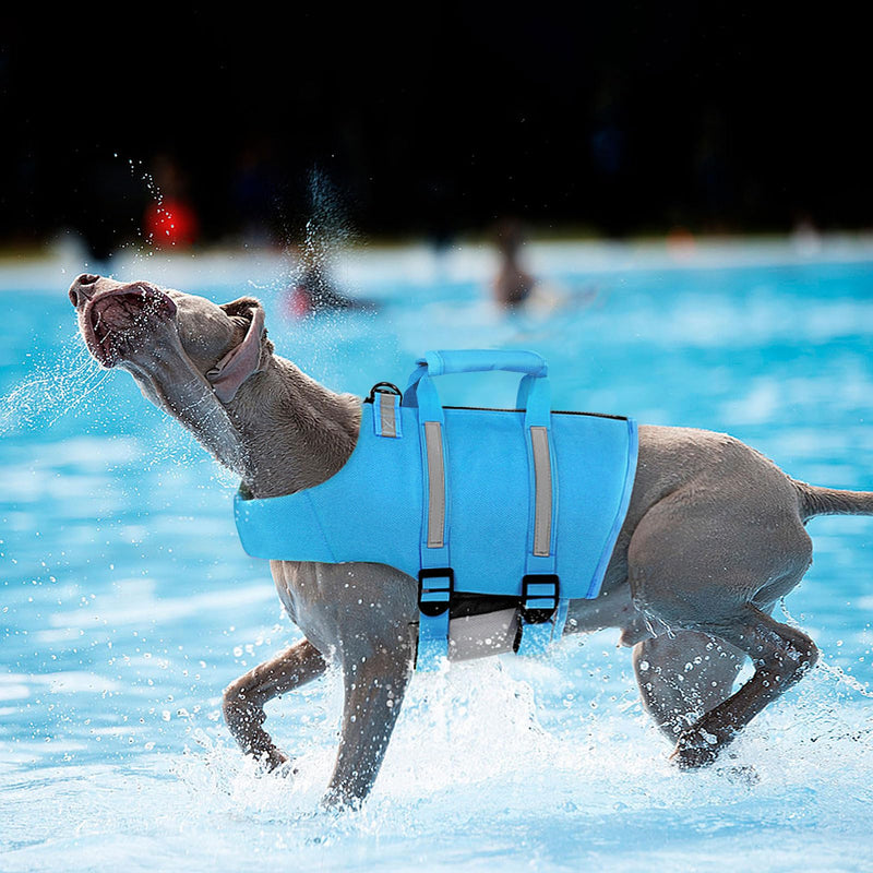 Queenmore Dog Life Jacket, XL Dog Life Vest,High Floating Pet Life Vest for Swimming,Lightweight Adjustable Puppy Life Preserver for Boating,Dog Water Vest with Back Zip,Rescue Handle,Hook (Blue XL) X-Large Blue - PawsPlanet Australia