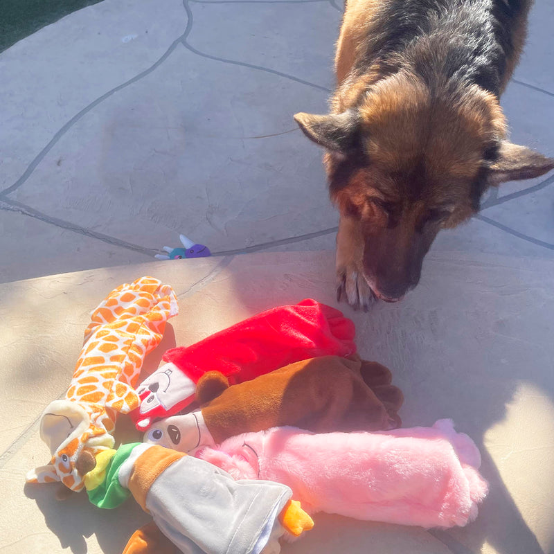 Jalousie 5 Pack No Stuffing Dog Toys Assortment - Holds A Bottle - Dog Toys to Keep Them Busy Assortment Puppy Pet Mutt Dog Toy Dog Toy for Medium Large Dog 5 Pack - w/ Bottle Insert Pouch - PawsPlanet Australia
