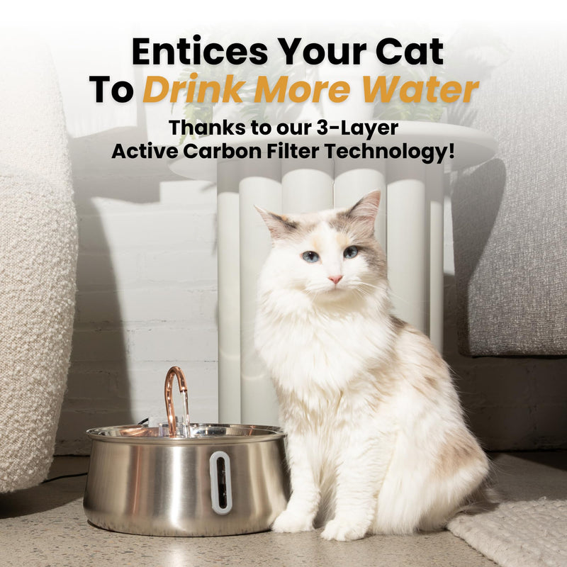2.0 Large Capacity Stainless Steel Cat Water Fountain – 4L/135oz (Stainless Steel, 4L Corded) - PawsPlanet Australia