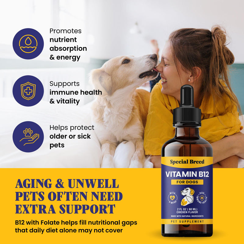 Special Breed Liquid Vitamin B12 for Dogs – Methylcobalamin and 5-MTHF – Boosts Energy, Appetite, Mood & Immune System Support, Easy-to-Use Dropper - Chicken Flavor, 2 fl oz - PawsPlanet Australia