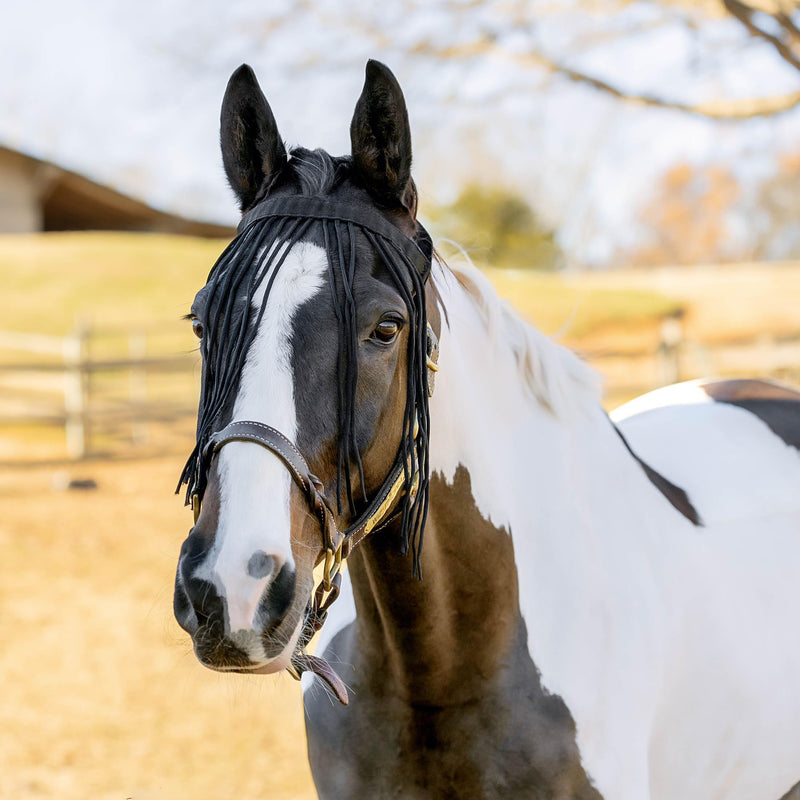Horze Simple Lightweight Insect and Fly Veil for Sensitive Horses - No Halter Needed - Black - M