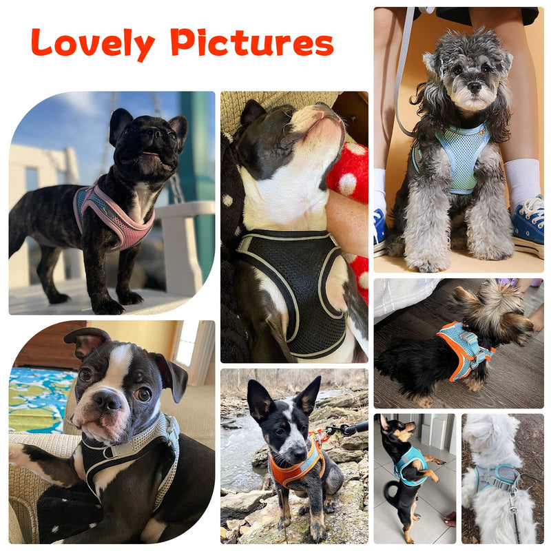 Soft Small Dog Harness and Leash Set Mesh Puppy Harnesses Leash Easy Walk Dog Harness Vest Adjustable Reflective No Pull Dog Harnesses for Small Dogs Cats (Orange Blue,XXS) XXS (Recommend 3-6 lbs) Orange Blue - PawsPlanet Australia