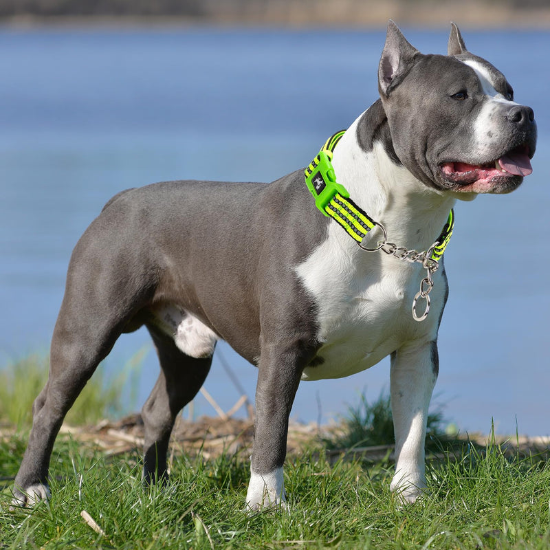 Green Reflective Martingale Dog Collar with Buckle- Night-Safe, Anti-Slip Training Collar Designed for Secure Walks - Large G L (Neck 16"-23") - PawsPlanet Australia